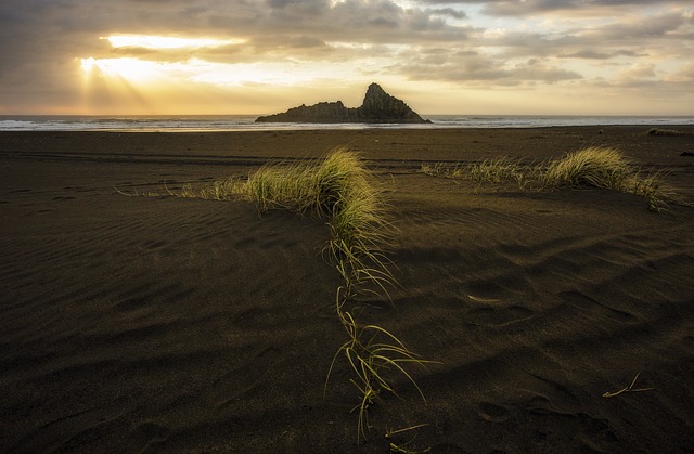 Pflege des Umfeldes im Ausland